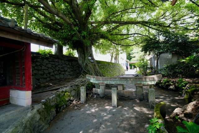 黒神埋没鳥居