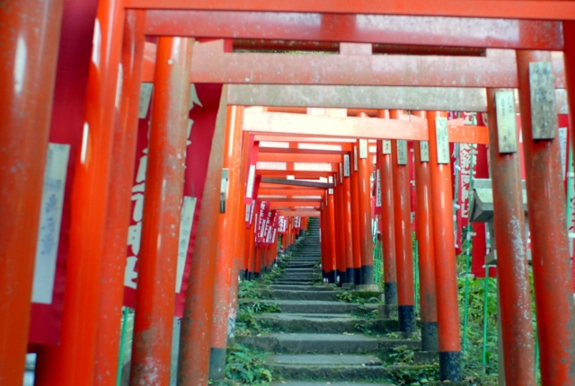 佐助稲荷神社参道