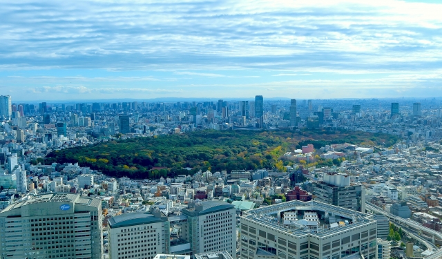 新宿の高層ビル街と新宿御苑