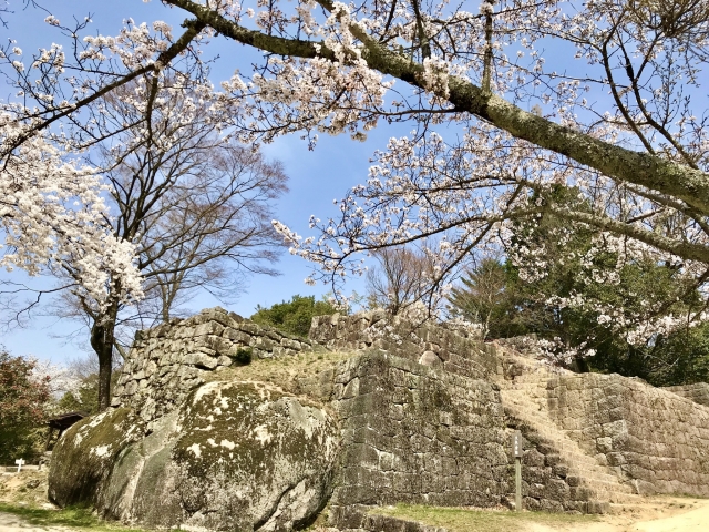 苗木城跡の城壁